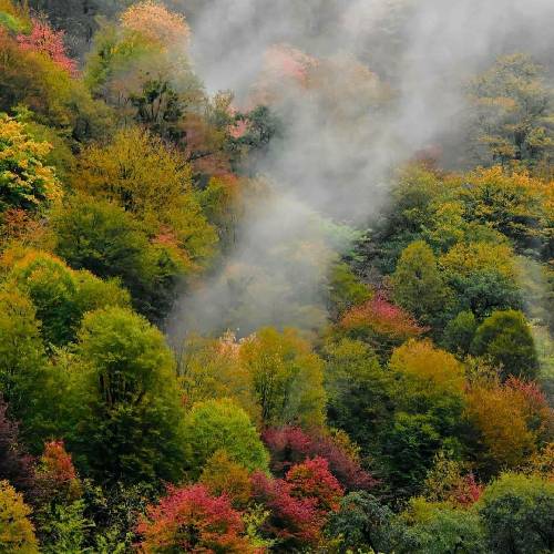 احمد نعمتی میباره چشمام بازم دنیامو دارو میبازم